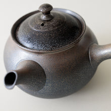 Load image into Gallery viewer, Fujita Ochakai Kyusu