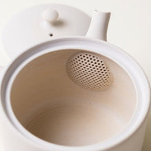 Load image into Gallery viewer, Fujita Hakudo Kyusu