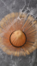 Load and play video in Gallery viewer, Chasen (Bamboo Whisk)
