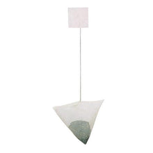 Load image into Gallery viewer, Pyramid Tea Bag Sencha - Den's Tea
